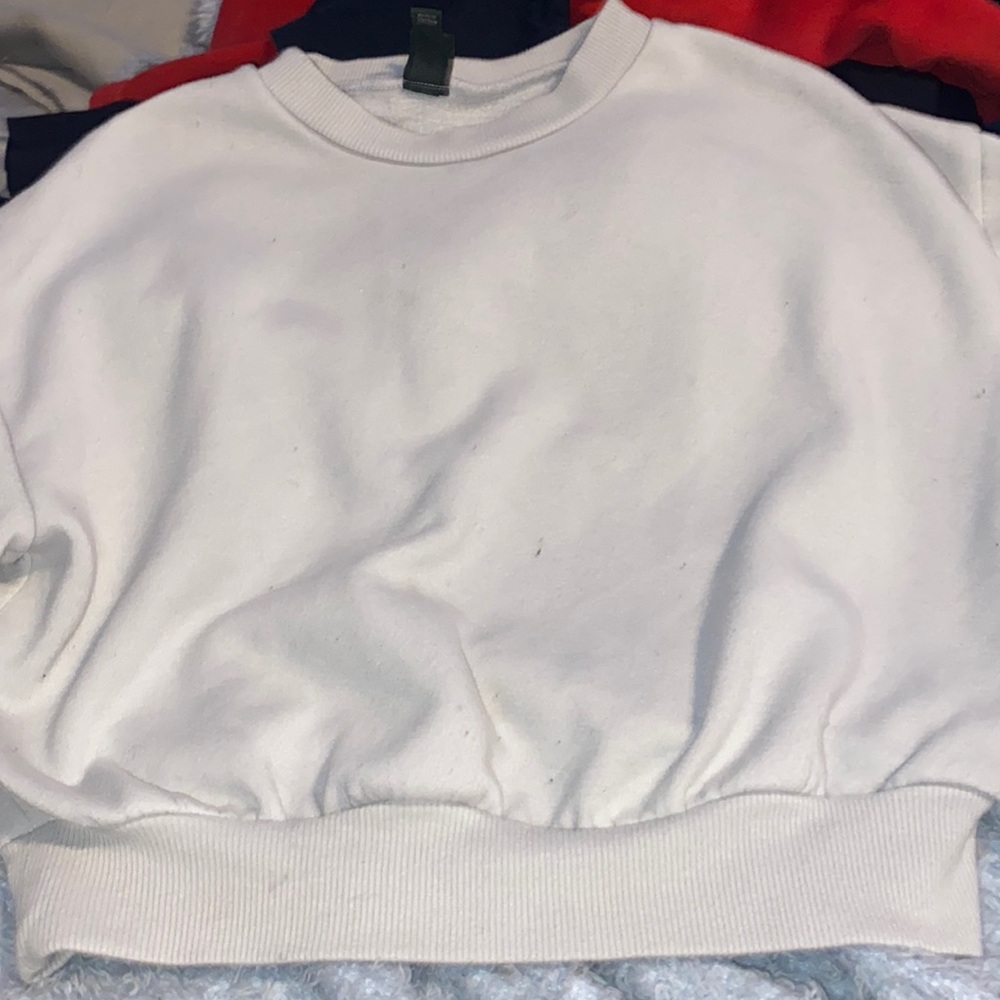 Wild fable, cropped sweater